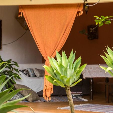 Villa Bem Querer - Girassol Externo ไมริโปรัง ภายนอก รูปภาพ